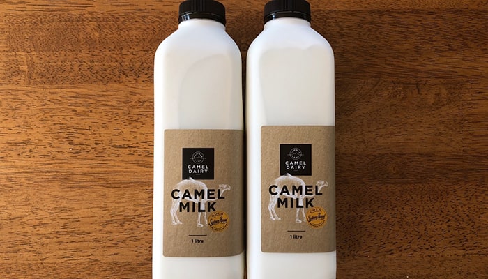 Why is camel milk so expensive?